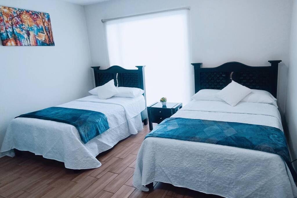 Secure, Central And Quiet Apartment Work Or Travel 墨西哥城 外观 照片
